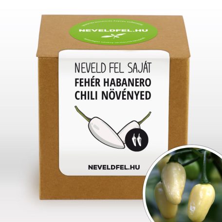 White Habanero (Fehér Habanero) Chili Termesztő Készlet