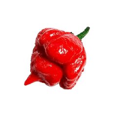 Trinidad Skorpió Vörös chili magok (red scorpion)