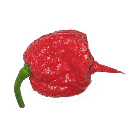 Carolina Reaper Beast Chili Paprika Magok (a világ legerősebb paprikája)